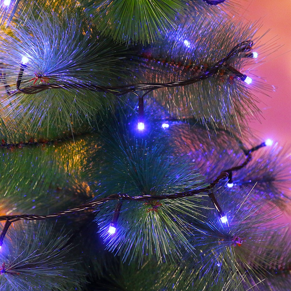 Instalatie de Craciun, Flippy®, Tip Liniara, Fir Negru, 9 m, 100 LED -uri, Interconectabila, Albastru