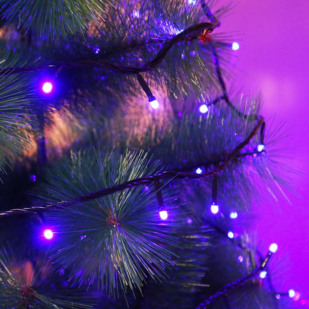 Instalatie de Craciun Flippy® Tip Liniara, Fir Negru, 24 m, 300 LED-uri Mici Rotunde, Interconectabila, Albastru