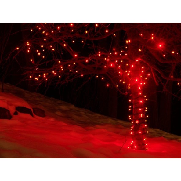 Instalatie de Craciun Tip Liniara Fir Transparent 200 Leduri Rosu 3364R
