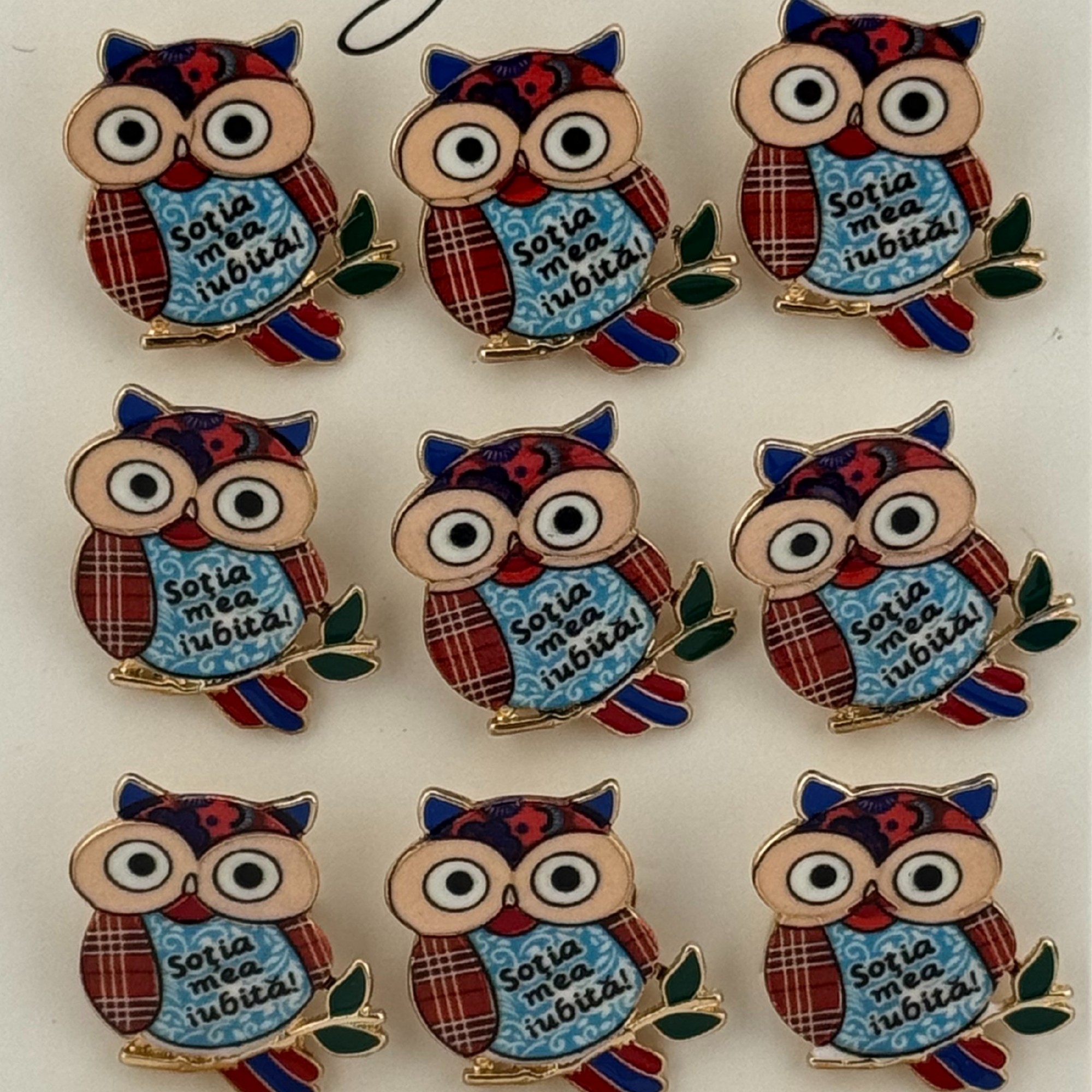 Set 12 Brose Martisor Primavara, Jolie, Model Bufnita, cu Mesaj Sotia Mea Iubita, Multicolor