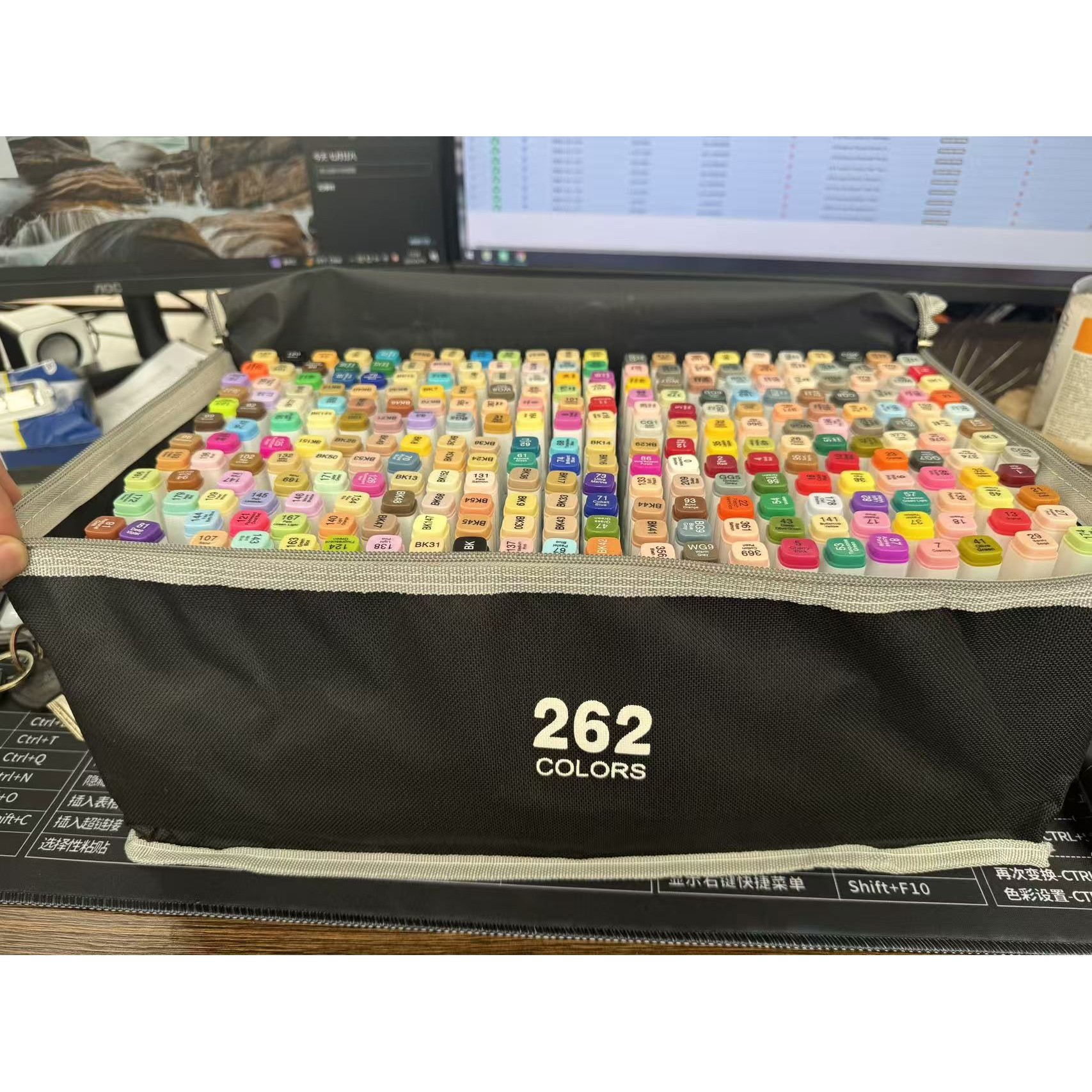 Set 262 Markere, Flippy, Dublu Capat, Subtire 1mm si Gros 6 mm, Geanta Depozitare, Corp Alb, Multicolor