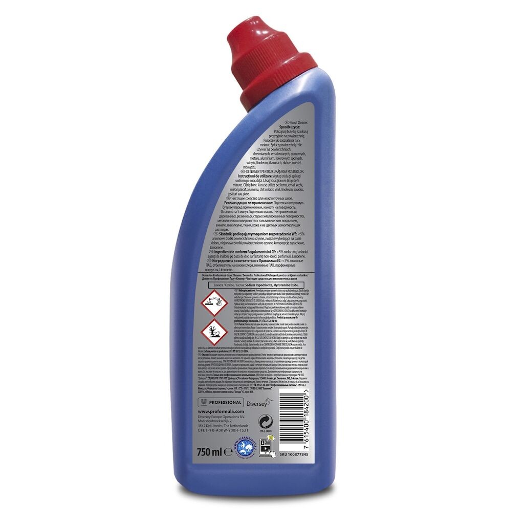 Domestos Professional Grout Cleaner – Detergent pentru Curatarea Rosturilor, 0.75 L