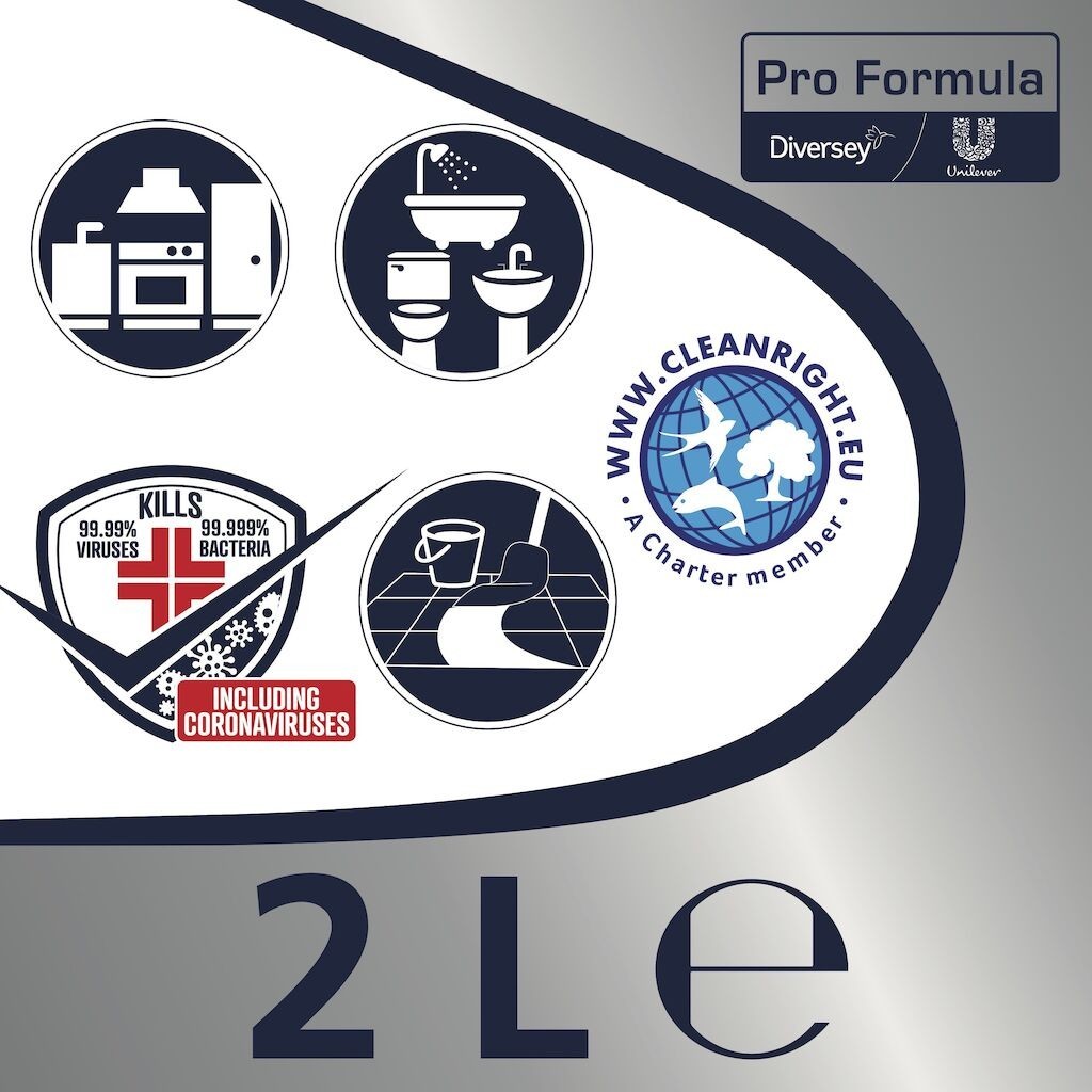 Domestos Professional Pine Fresh – Detergent Lichid Dezinfectant, 2 L